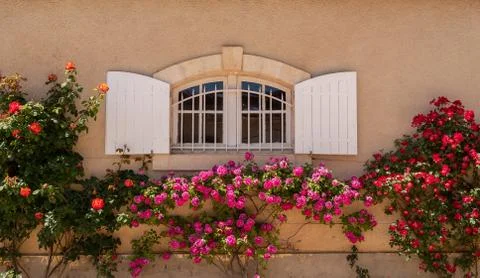 Roses frame vineyard windows Stock Photos