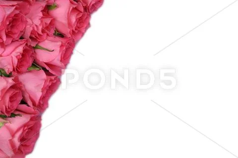 Roses gift on mother's or Valentine's day with copyspace Stock Photos
