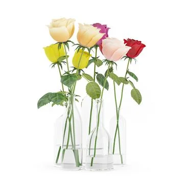 Roses in Glass Vases 3D Model