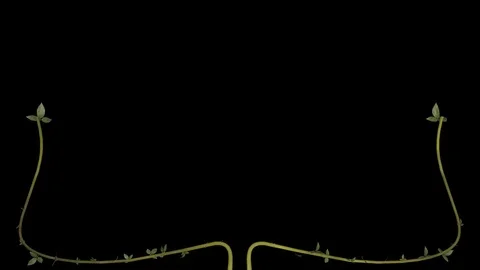 Roses Growing Frame with alpha Stock Footage 70896125