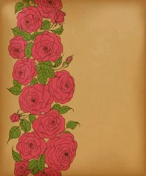 Roses Stock Illustration