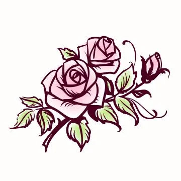 Roses Stock Illustration