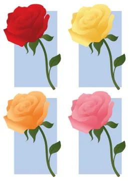 Roses Stock Illustration