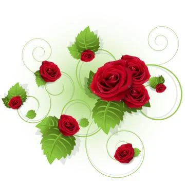 Roses Stock Illustration