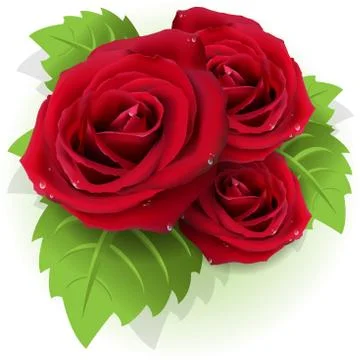 Roses Stock Illustration