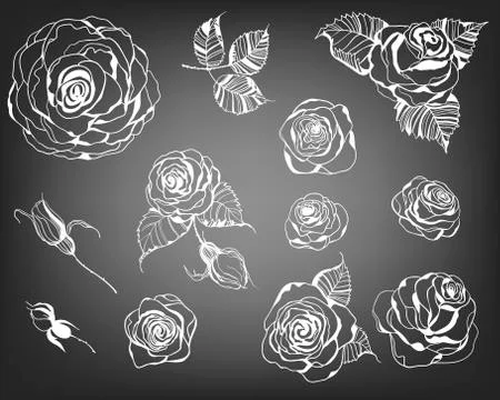 Roses Stock Illustration