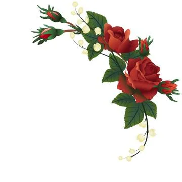 Roses Stock Illustration
