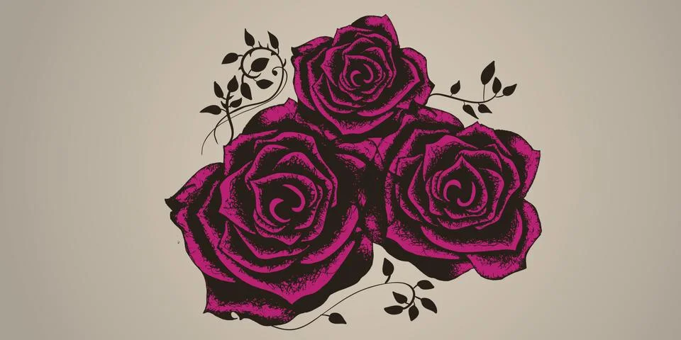 Roses illustration Stock Illustration