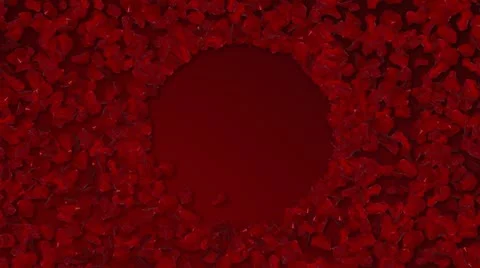 Roses Logo Stock Footage 11685825