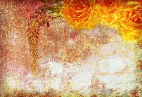 Roses on the old grunge texture Stock Photos