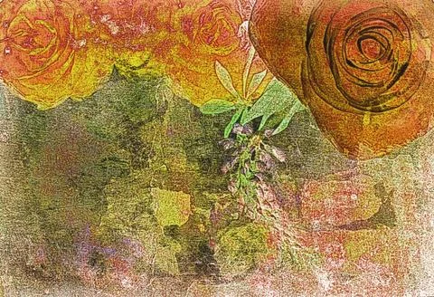Roses on the old grunge texture Stock Photos