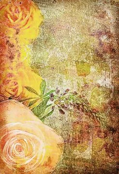Roses on the old grunge texture Stock Photos