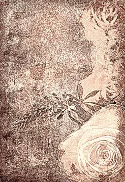 Roses on the old grunge texture Stock Photos