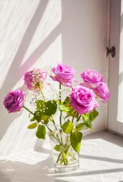 Roses in old window 스톡 사진
