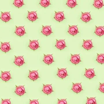 Roses pattern Stock Photos