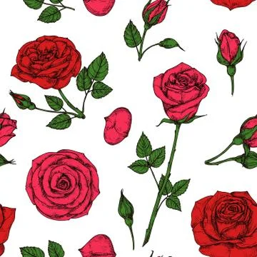 Roses pattern. Red blossom rose flowers bouquet. Floral seamless vector drawing Illustrazione stock