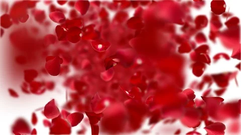 Roses petal transform to heart. Stock Footage 101314401
