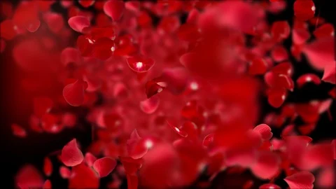Roses petal transform to heart. Stock Footage 101314402