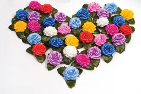 Roses Stock Photos