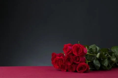 Roses Stock Photos