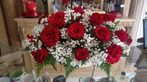 Roses Fotos de archivo