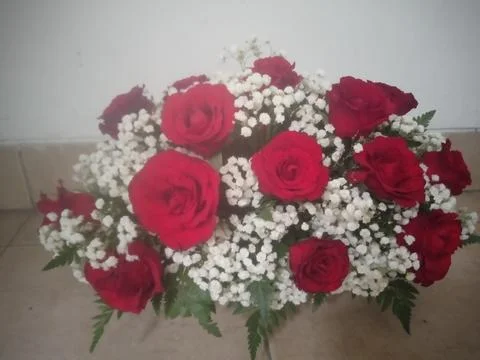 Roses Fotos de archivo