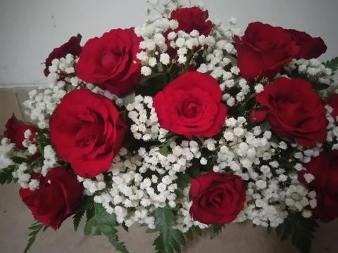 Roses Fotos de archivo