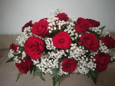 Roses Fotos de archivo