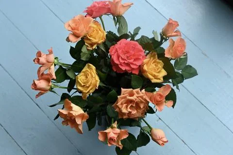 Roses Foto stock