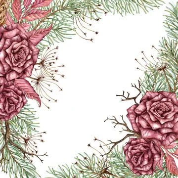 Roses pine dried flowers branches frame square watercolor Stock Illustration