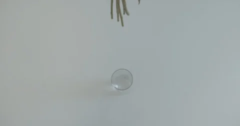 Roses placed into Vase on White Background Stock Footage 124044233
