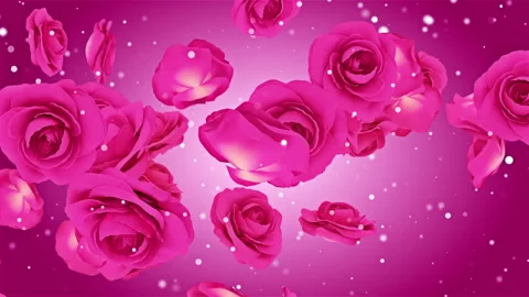 Roses Red Fly Background Looped Video Stock Footage 148475162