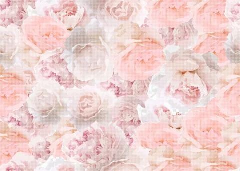 Roses seamless background. Tender pattern. Pink color, checkered Stock Illustration