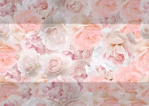 Roses seamless background. Tender pattern. Pink color, checkered border Stock Illustration