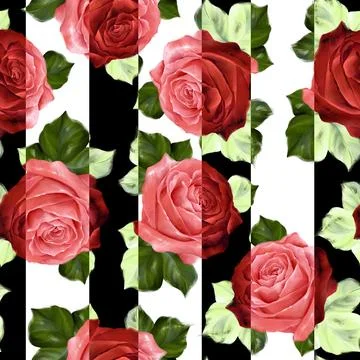 Roses seamless pattern background. Striped fabric design Stock Illustration