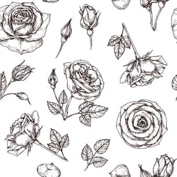 Roses seamless pattern. Hand drawn rose floral textere. Flower fabric repeat Illustrazione stock