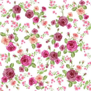 Roses seamless pattern Stock Illustration
