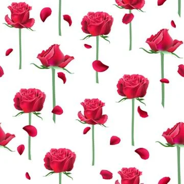 Roses seamless pattern Stock Illustration