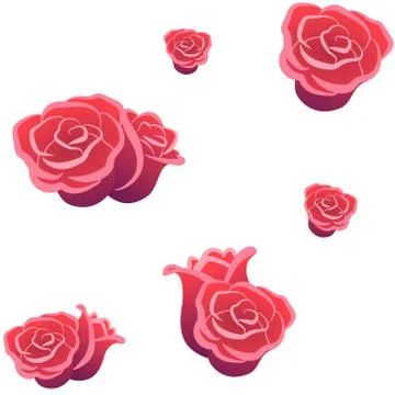 Roses seamless pattern, white isolated backdrop. Flowers background for Stock Illustration
