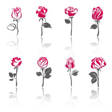 Roses, set icons with reflection 스톡 일러스트