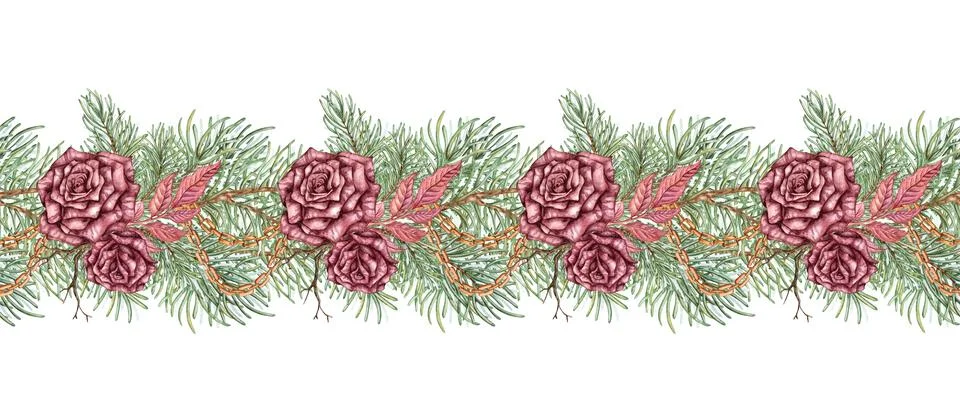 Roses spruce branch pattern horizontal watercolor Stock Illustration