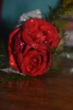 Roses on table in dark background close up photography Stock Photos