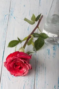 Roses on the table Foto stock