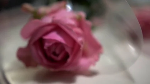 Roses in transparent waterproof paper packaging on light surface, close-up, 4k Video stock 80038427