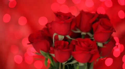Roses on Valentines Day Stock-Footage 61671879