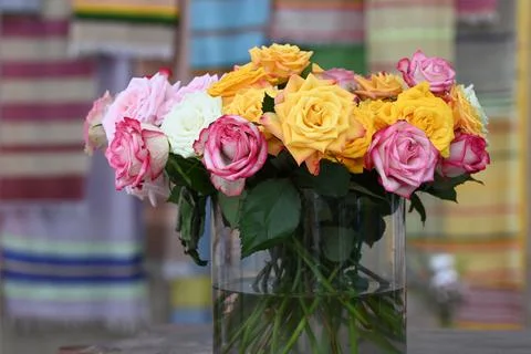 Roses in a variety of mixed colours. Stock Photos