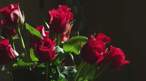 Roses in vase Stock Footage 42154737