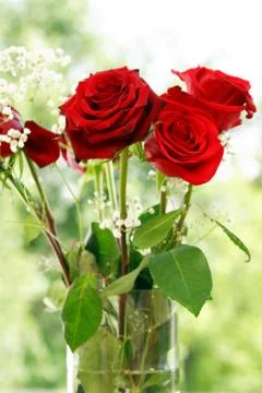 Roses In Vase Stock Photos