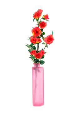 Roses in vase Stock Photos
