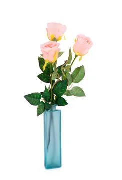 Roses in vase Foto stock